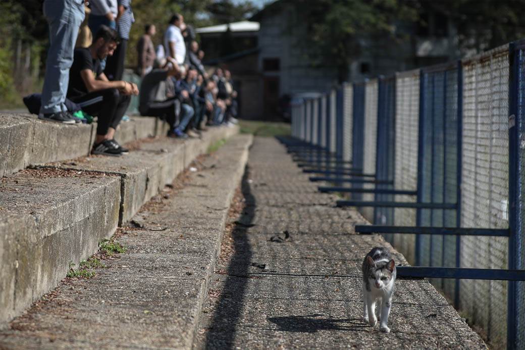 Policija fudbal kapiten Dorćol Marko Stanovčić