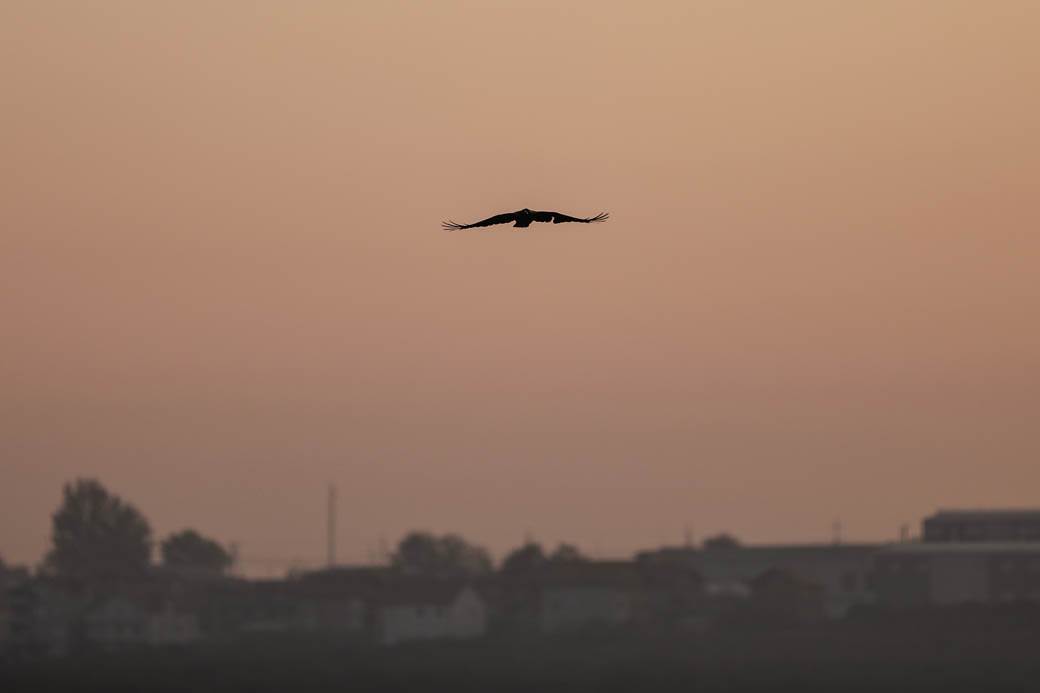 Zagađen vazduh u Beogradu: CRVENI ALARM Beograd u vrhu liste najzagađenijih gradova u SVETU 
