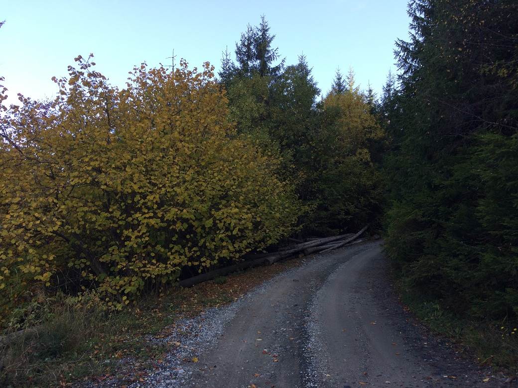 Šta posetiti u Srbiji - selo Rudno, Golija