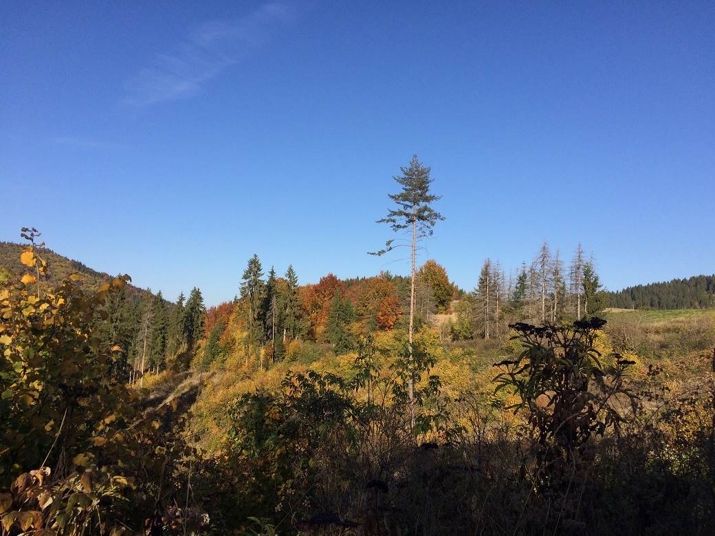 Šta posetiti u Srbiji - selo Rudno, Golija