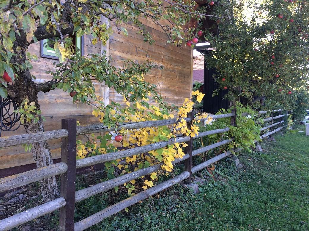 Šta posetiti u Srbiji - selo Rudno, Golija