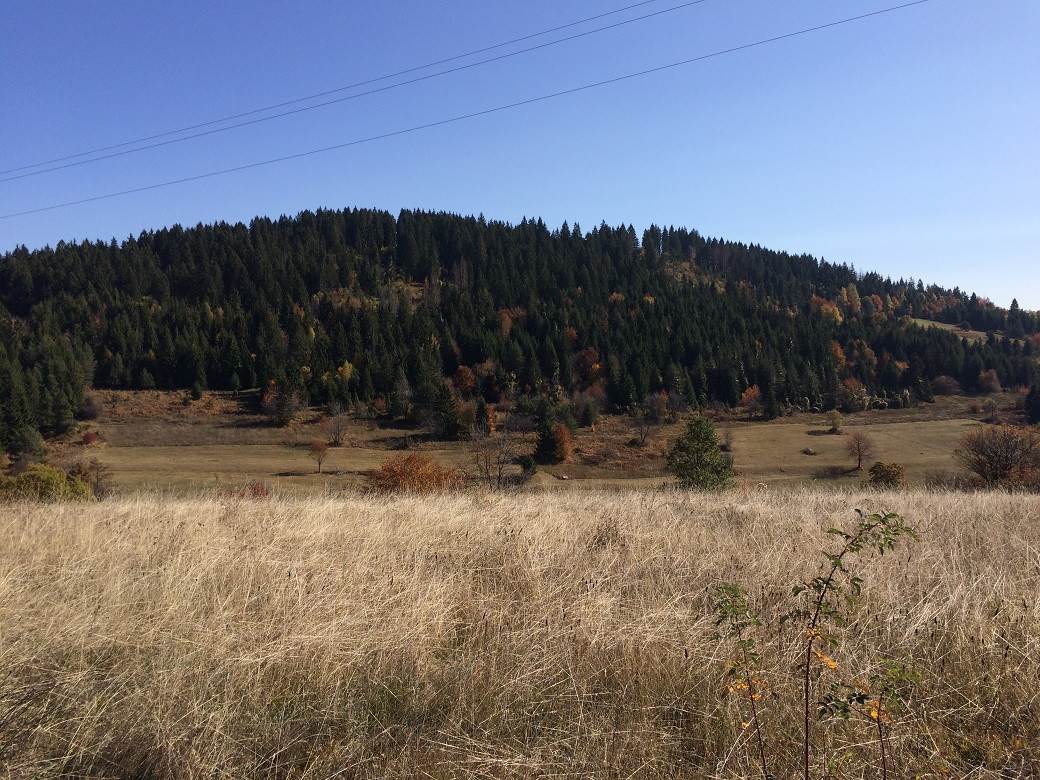 Šta posetiti u Srbiji - selo Rudno, Golija