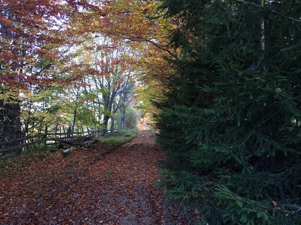 Šta posetiti u Srbiji - selo Rudno, Golija