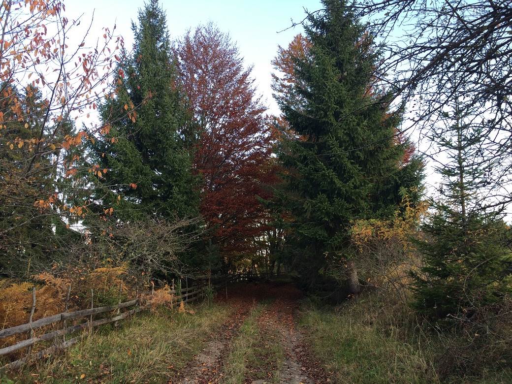 Šta posetiti u Srbiji - selo Rudno, Golija