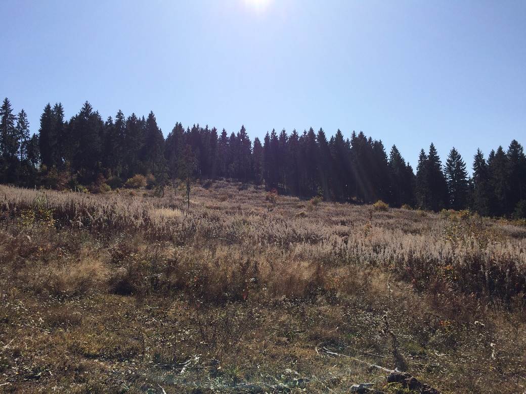 Šta posetiti u Srbiji - selo Rudno, Golija