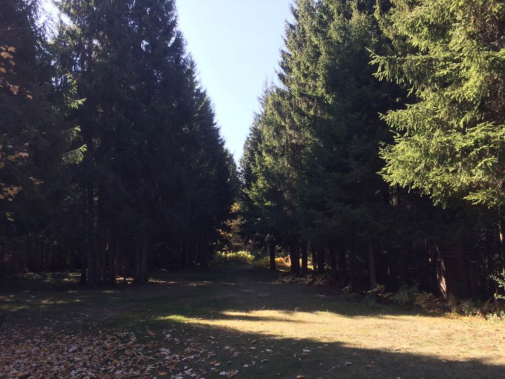 Šta posetiti u Srbiji - selo Rudno, Golija