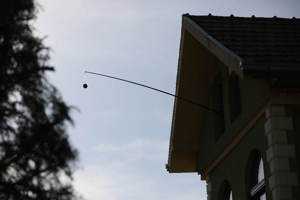 Kolika je razlika u godinama između Bogdane i Veljka Ražnatovića?