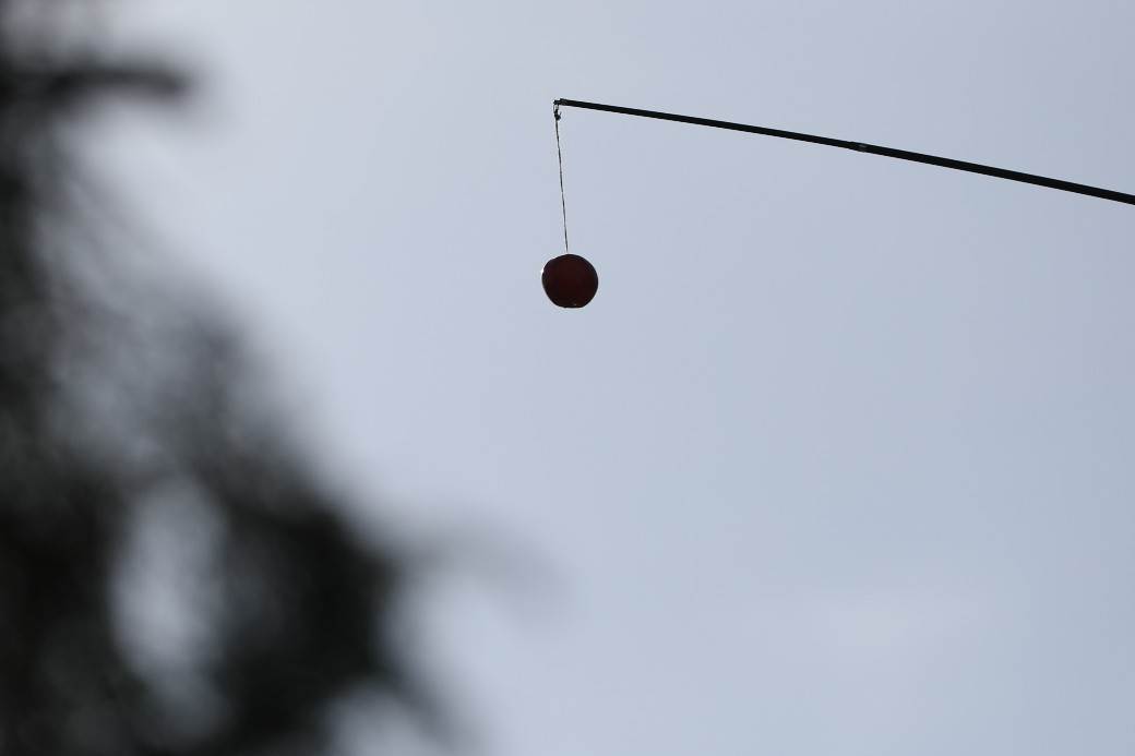 Aleksandra Mladenović Veljkova svadba