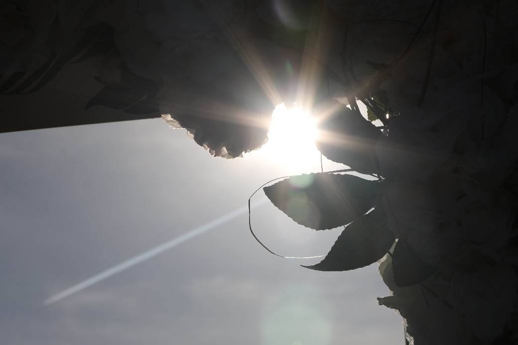 Aleksandra Mladenović Veljkova svadba