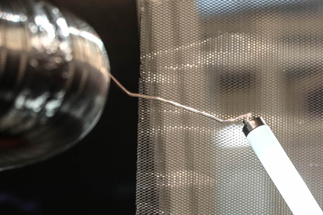 Festival nauke 2019: Eksplozije, eksperimenti i muzika na struju! FOTOGRAFIJE