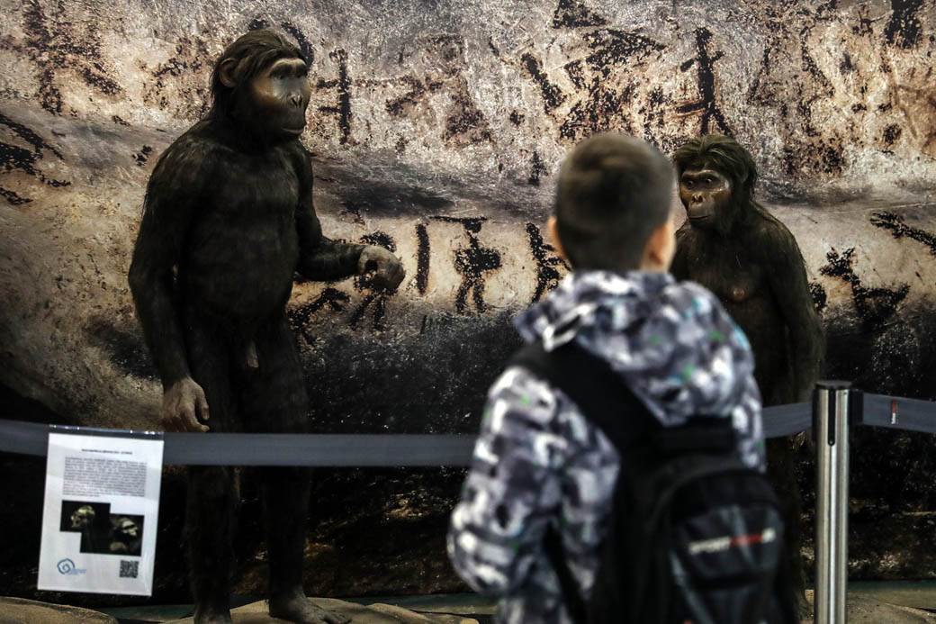 Festival nauke 2019: Eksplozije, eksperimenti i muzika na struju! FOTOGRAFIJE