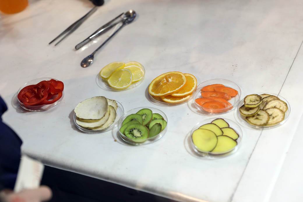 Festival nauke 2019: Eksplozije, eksperimenti i muzika na struju! FOTOGRAFIJE