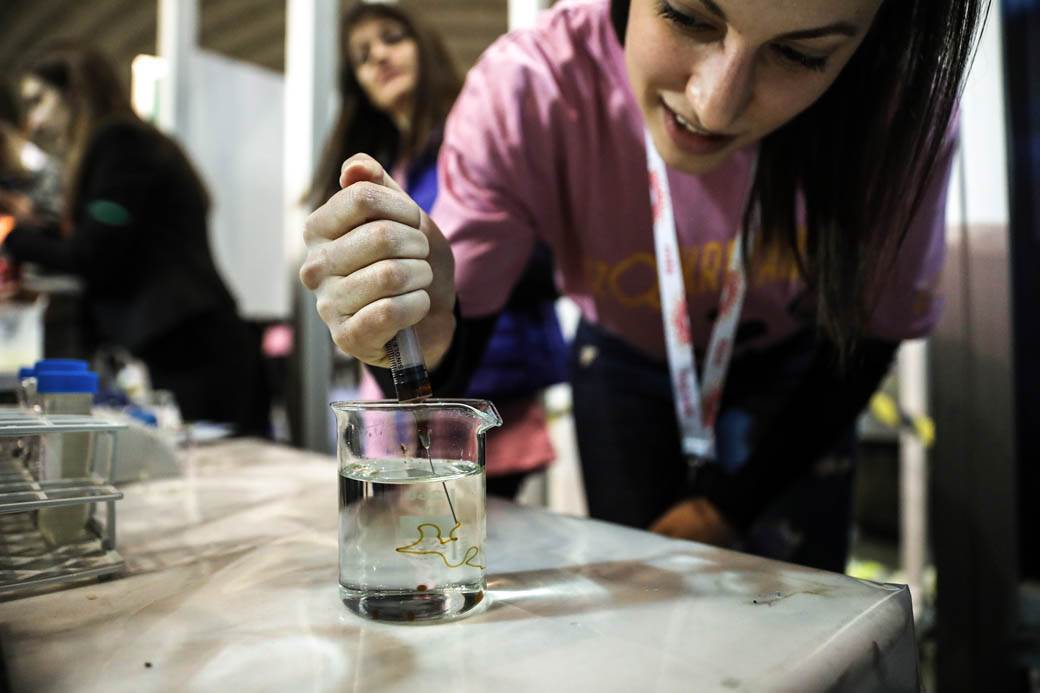 Festival nauke 2019: Eksplozije, eksperimenti i muzika na struju! FOTOGRAFIJE