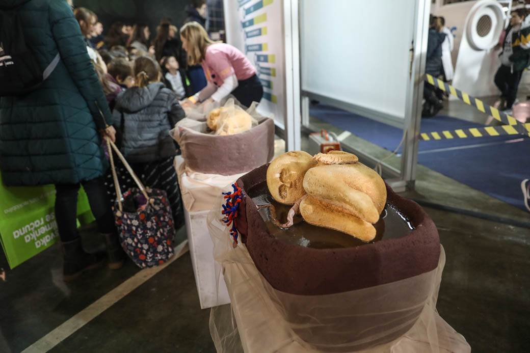 Festival nauke 2019: Eksplozije, eksperimenti i muzika na struju! FOTOGRAFIJE