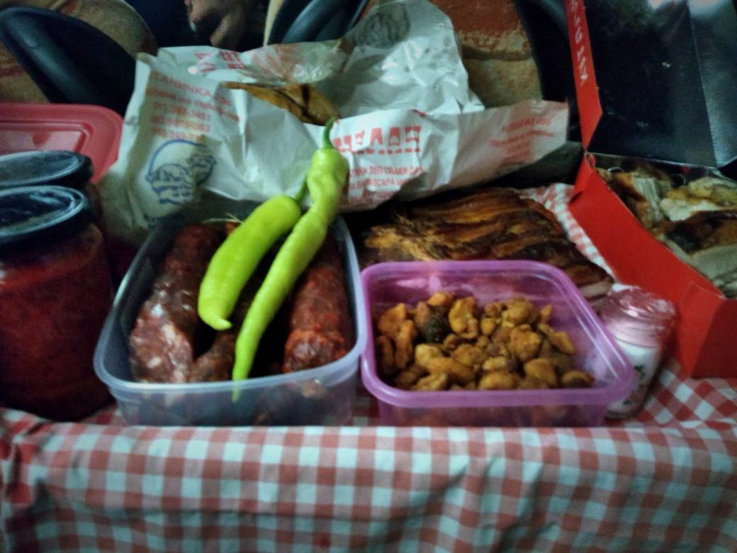 Put za Atina na meč Olimpijakos - Crvena zvezda, Liga šampiona, autobus hrana FOTO