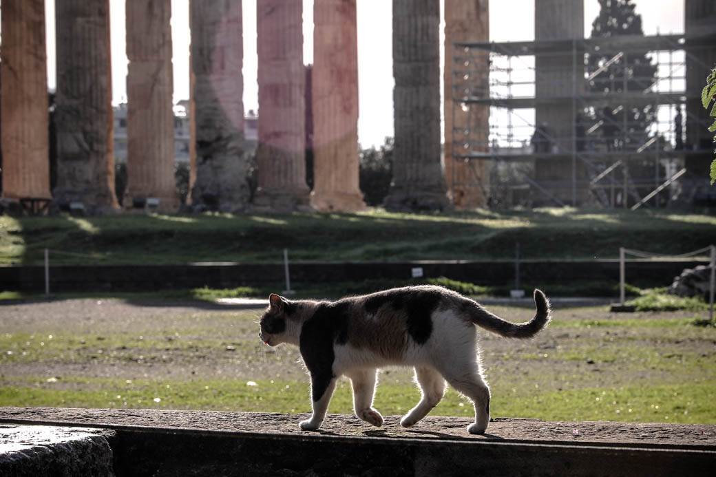 Atina: Vodič kroz grad FOTOGRAFIJE