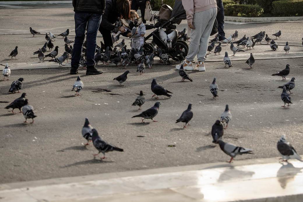 Atina: Vodič kroz grad FOTOGRAFIJE