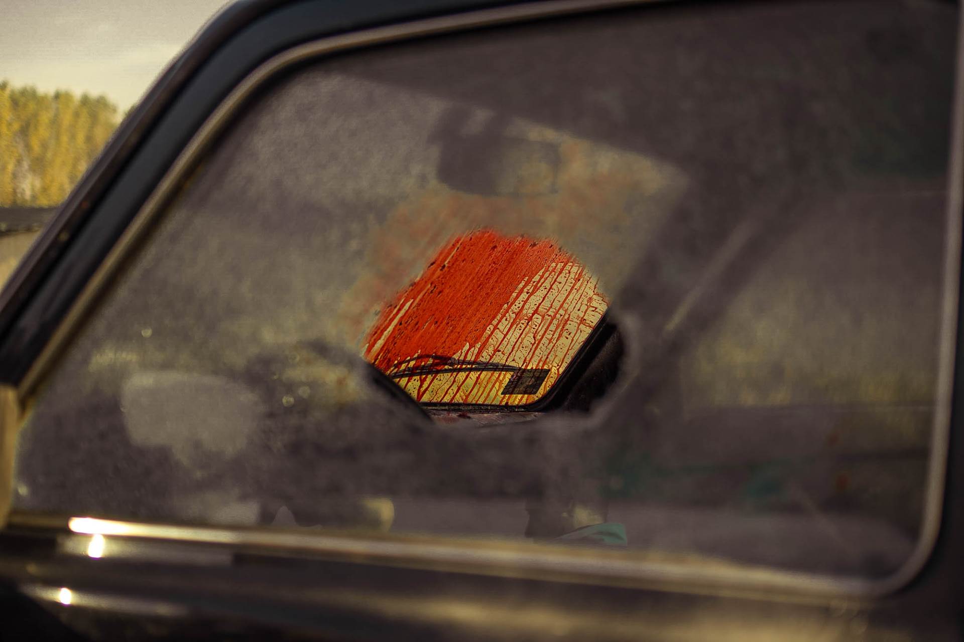 Tajkun nova domaća serija - sve o seriji