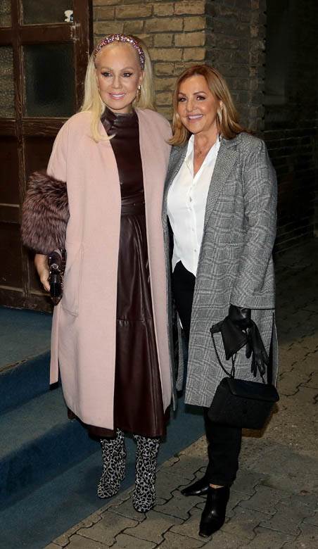 Predstava Lepa Brena project