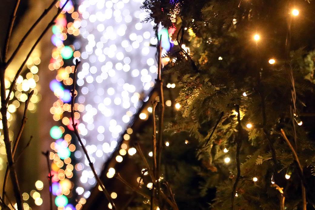 Najlepše ukrašena kuća u Gostivarskoj ulici u Beogradu zasijala punim sjajem FOTOGRAFIJE