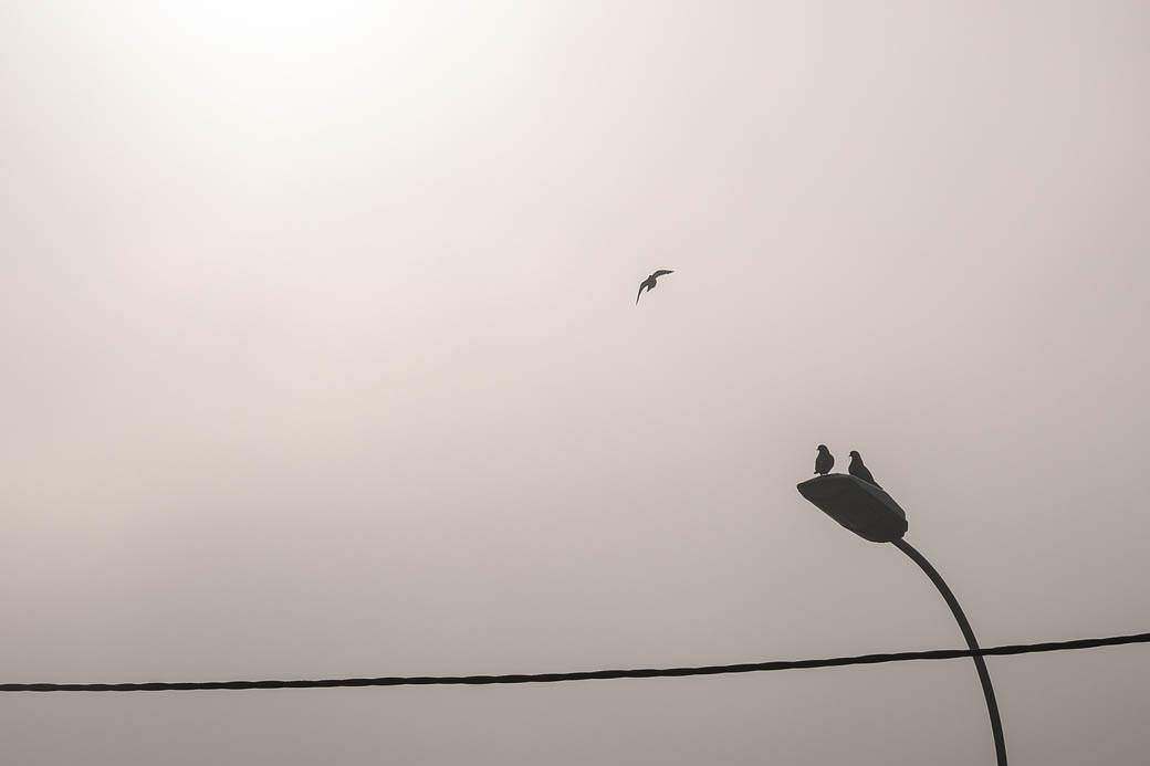 Zagađen vazduh u Srbiji - nano maski nema u apotekama