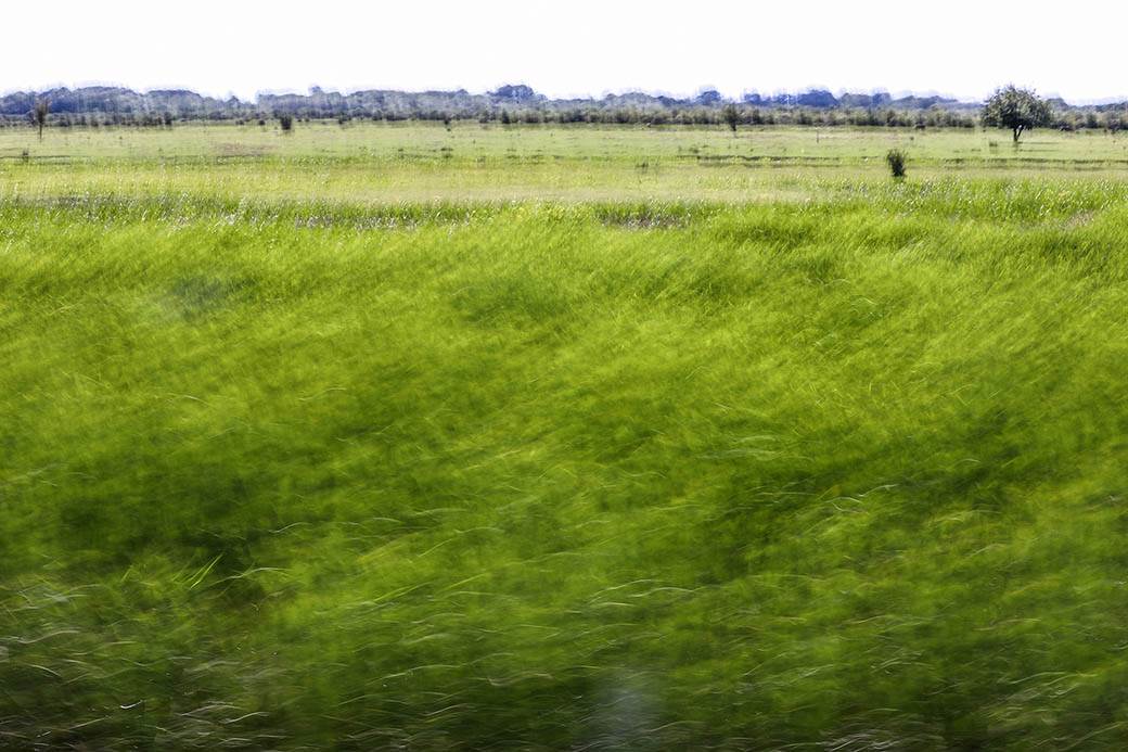 Najbolje fotografije Srbije 2019 - MONDO portal 