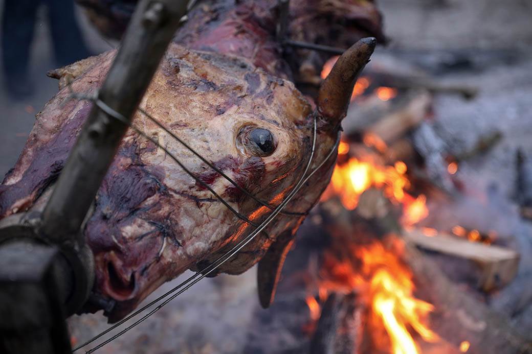 Vo na ražnju za Srpsku novu godinu 2020 FOTOGRAFIJE