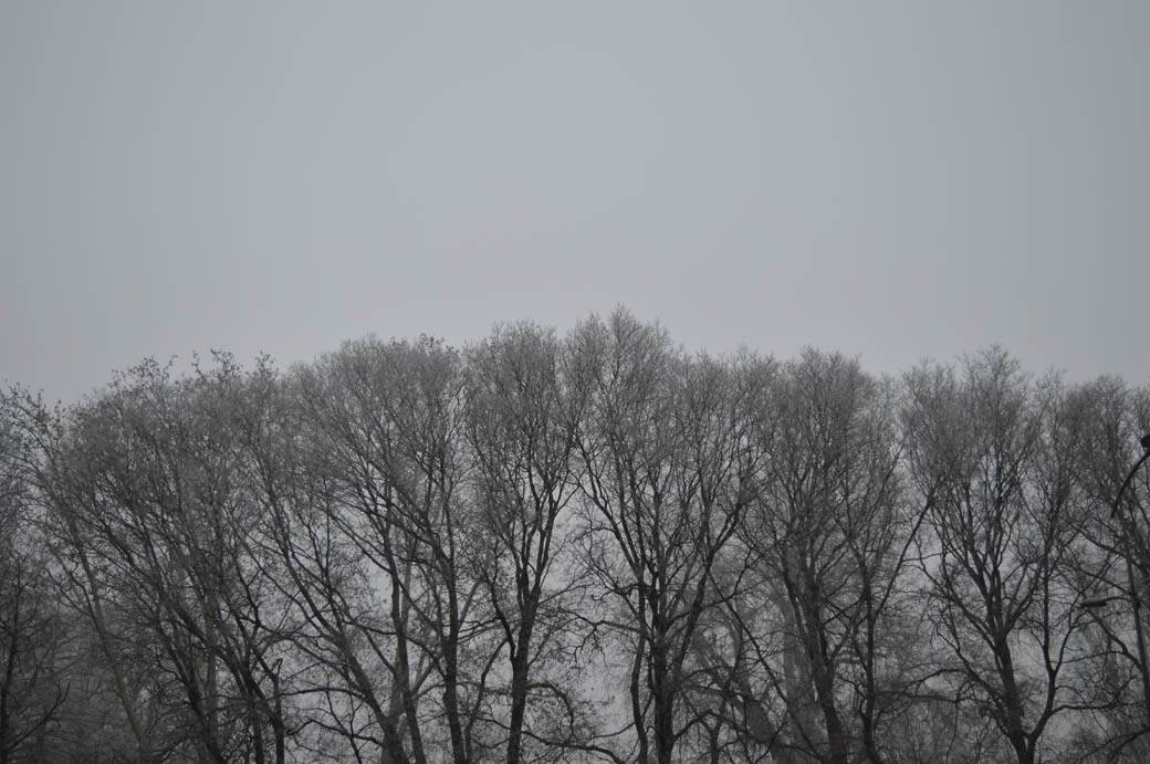 Zagađenje u Srbiji vremenska prognoza