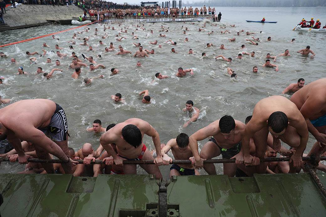 Bogojavljenje 2020: Plivanje za Časni krst - Zemun FOTOGRAFIJE