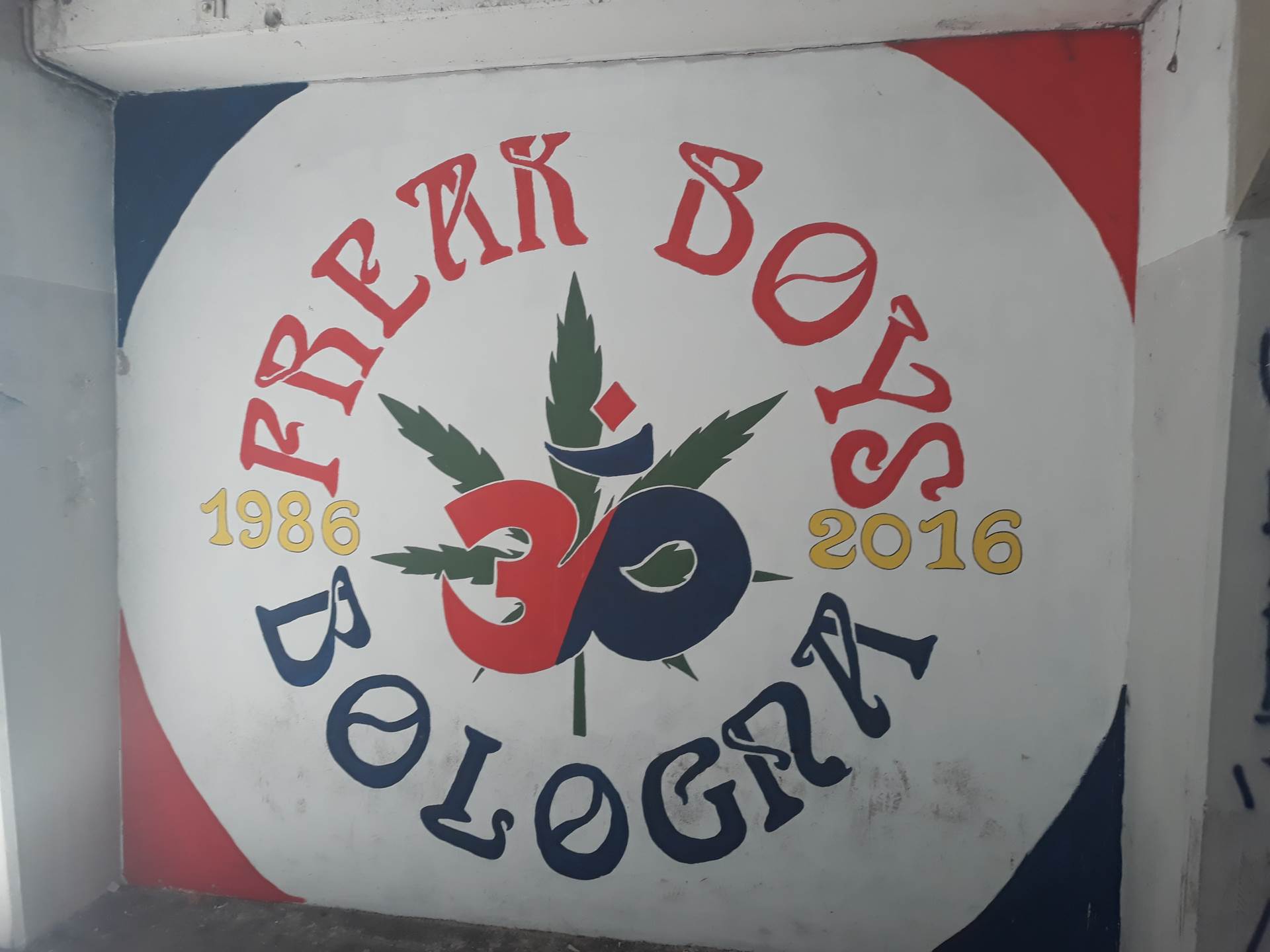 Bolonja fudbalski klub stadion Renato Dalara istorija Siniša Mihajlović Serija A Musolini 