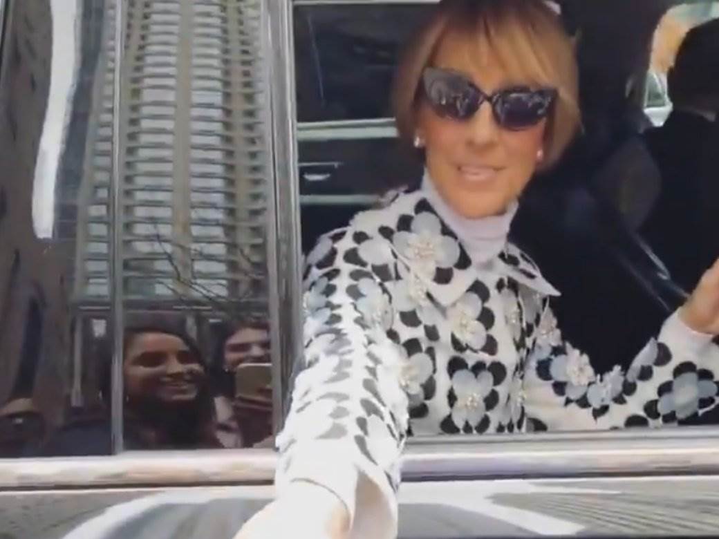 Selin Dion ima jake bolove