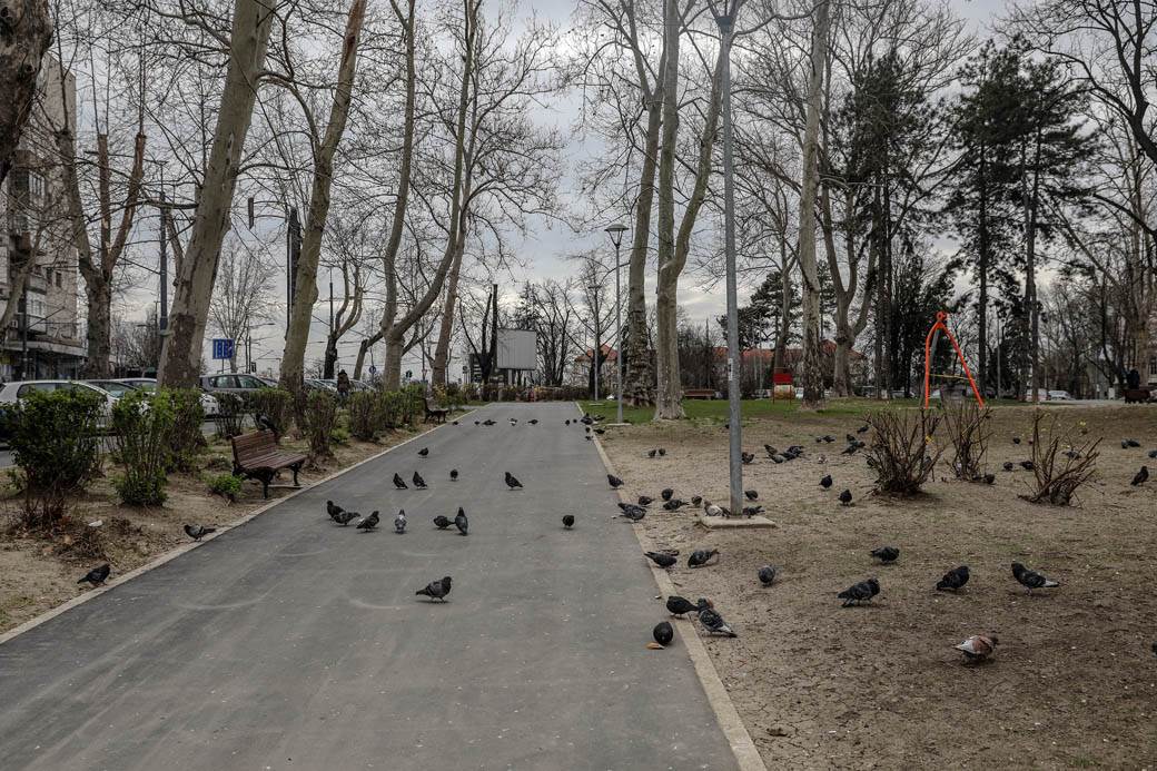 Zabrana kretanja u parkovima Beograd: Zatvoreni parkovi zbog daljeg širenja korona virusa! FOTO