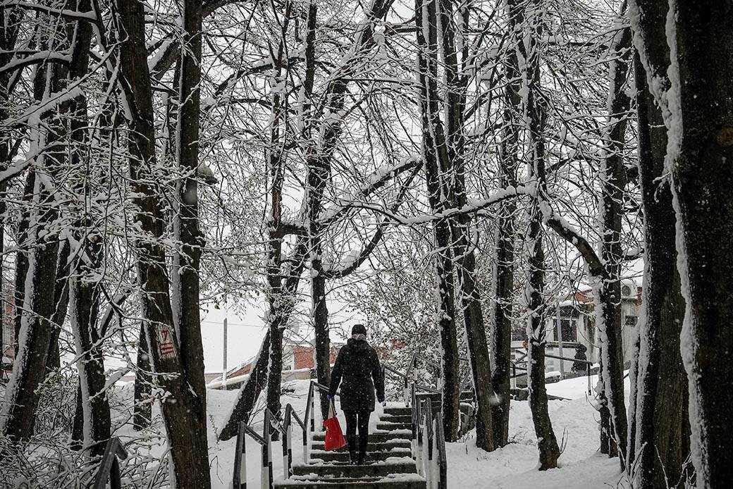 Sneg u martu - padaće i sutra