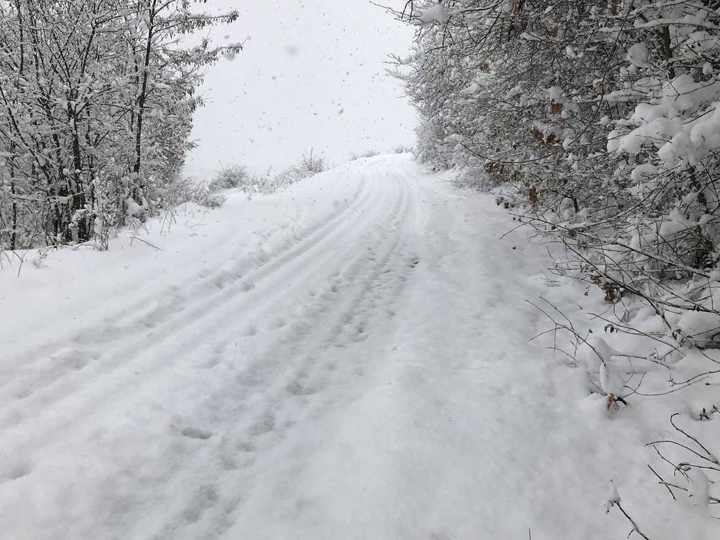 Korona virus na selu kako je na selu za vreme korona virusa kako žive u selima sa korona virusom
