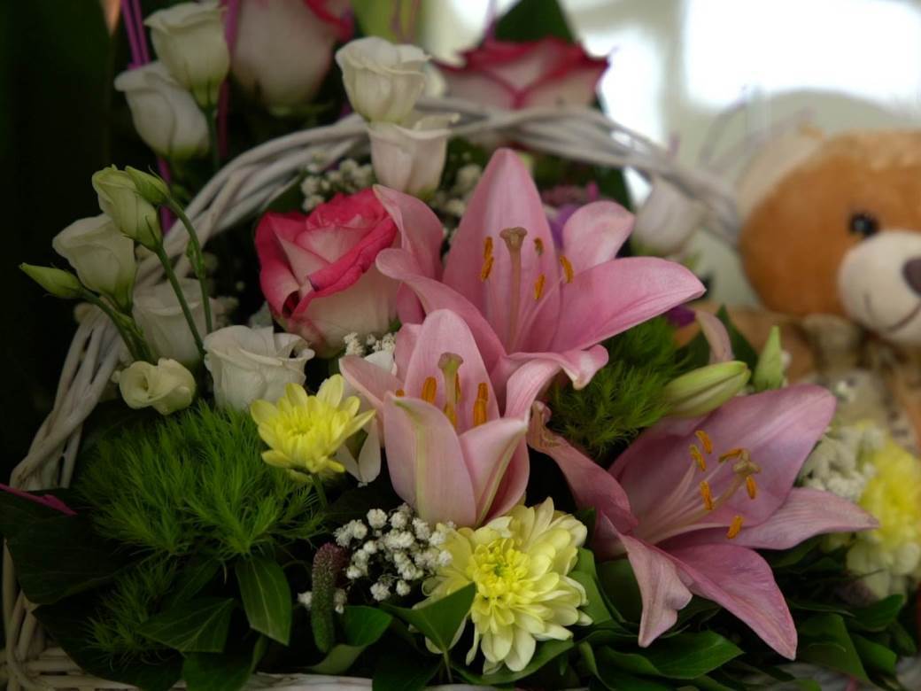 Novosadski cvećari poklanjaju cveće medicinskim radnicima