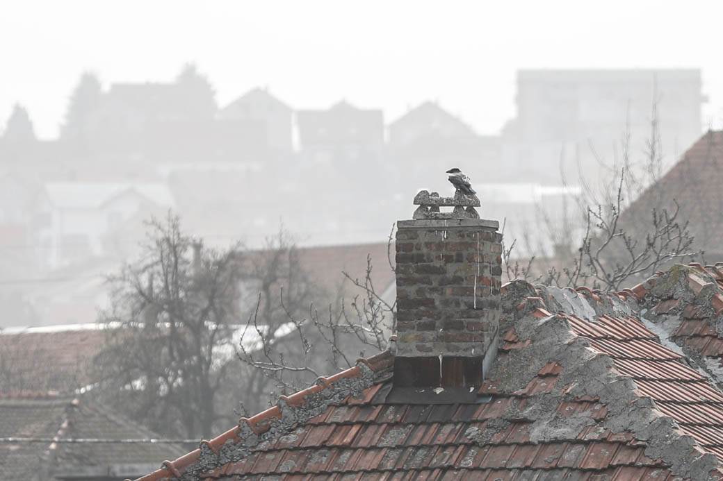 Zagađenje vazduha u Beogradu: Duva košava, saobraćaja nema, evo kako!