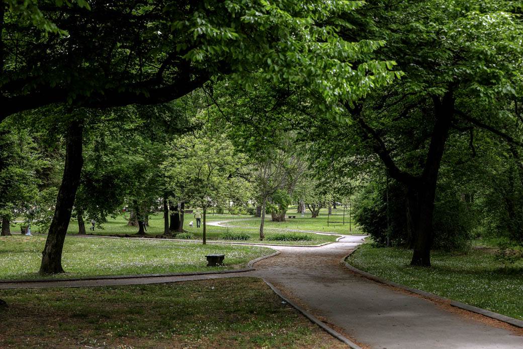 Proleće u Beogradu: Parkovi nikad lepši za vreme vanrednog stanja FOTOGRAFIJE