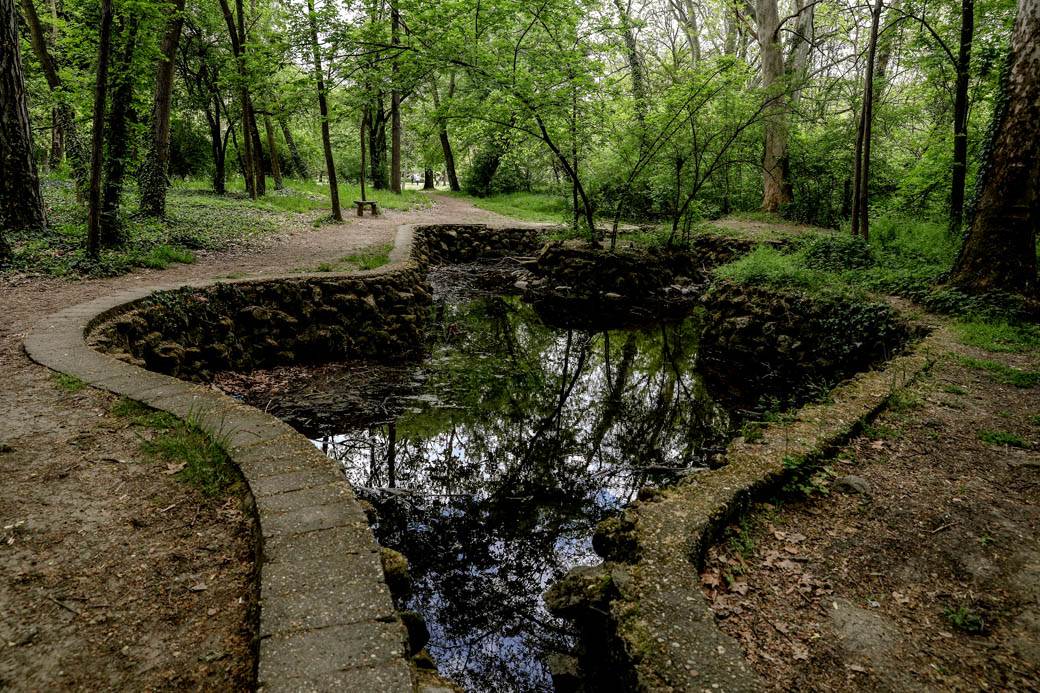 Proleće u Beogradu: Parkovi nikad lepši za vreme vanrednog stanja FOTOGRAFIJE