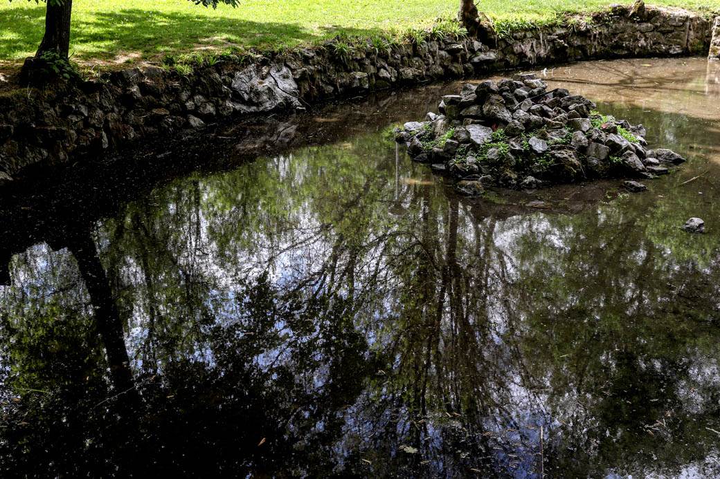 Proleće u Beogradu: Parkovi nikad lepši za vreme vanrednog stanja FOTOGRAFIJE
