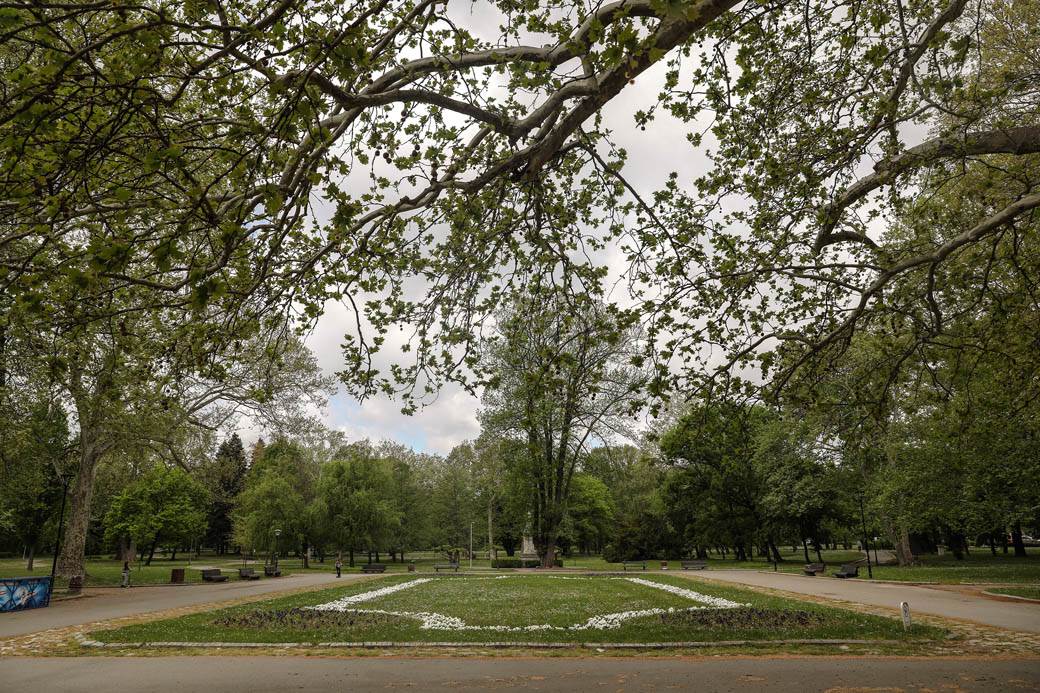 Proleće u Beogradu: Parkovi nikad lepši za vreme vanrednog stanja FOTOGRAFIJE