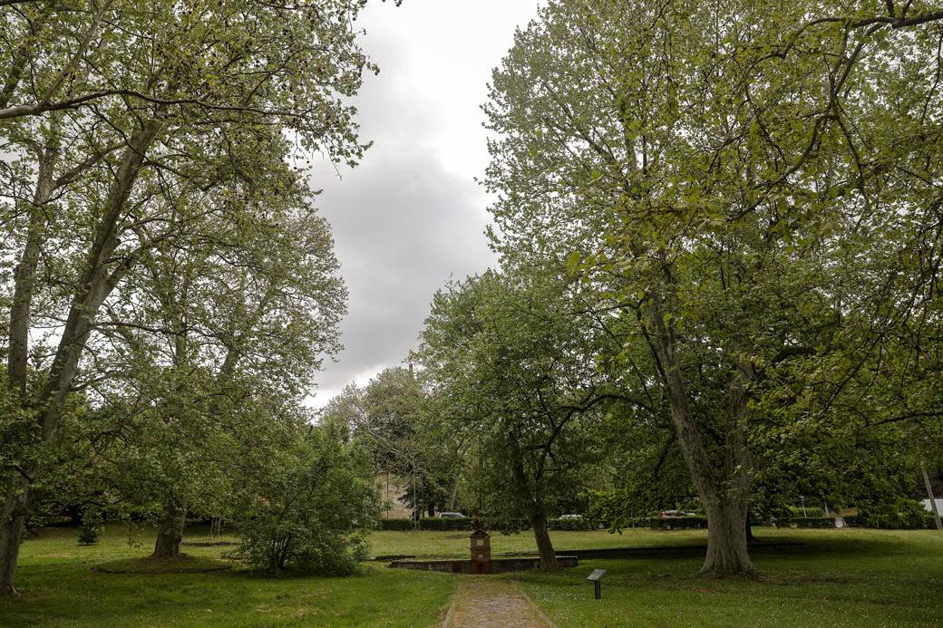 Proleće u Beogradu: Parkovi nikad lepši za vreme vanrednog stanja FOTOGRAFIJE