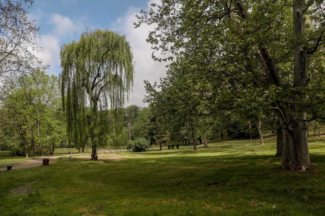 Proleće u Beogradu: Parkovi nikad lepši za vreme vanrednog stanja FOTOGRAFIJE