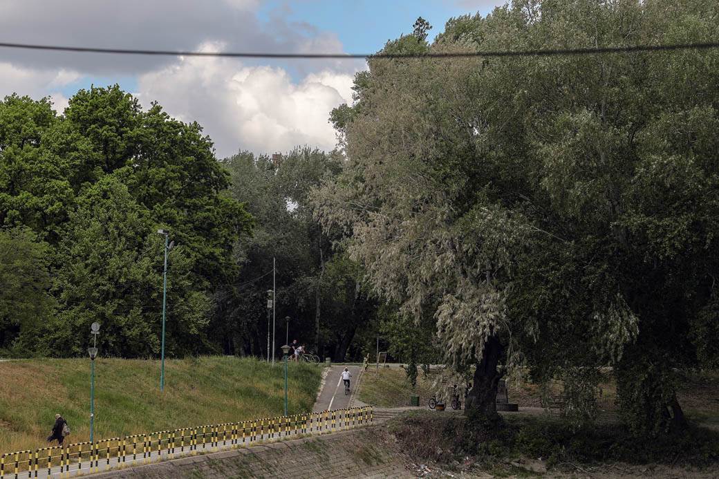 Proleće u Beogradu: Parkovi nikad lepši za vreme vanrednog stanja FOTOGRAFIJE