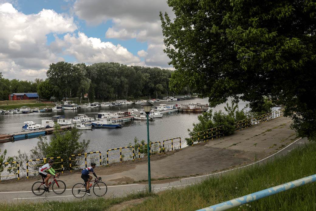 zasto se sece drvece u gradu i parku