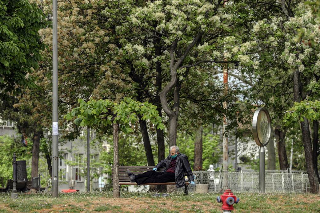 Proleće u Beogradu: Parkovi nikad lepši za vreme vanrednog stanja FOTOGRAFIJE
