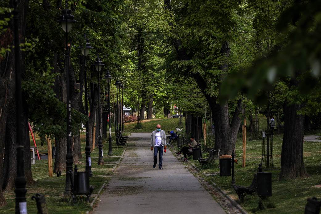 Proleće u Beogradu: Parkovi nikad lepši za vreme vanrednog stanja FOTOGRAFIJE