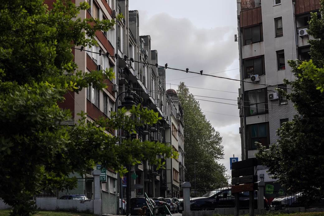 Proleće u Beogradu: Parkovi nikad lepši za vreme vanrednog stanja FOTOGRAFIJE
