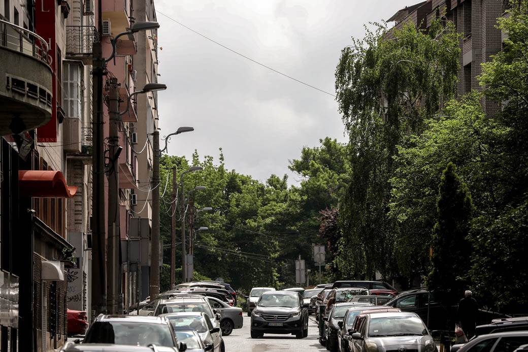 Proleće u Beogradu: Parkovi nikad lepši za vreme vanrednog stanja FOTOGRAFIJE