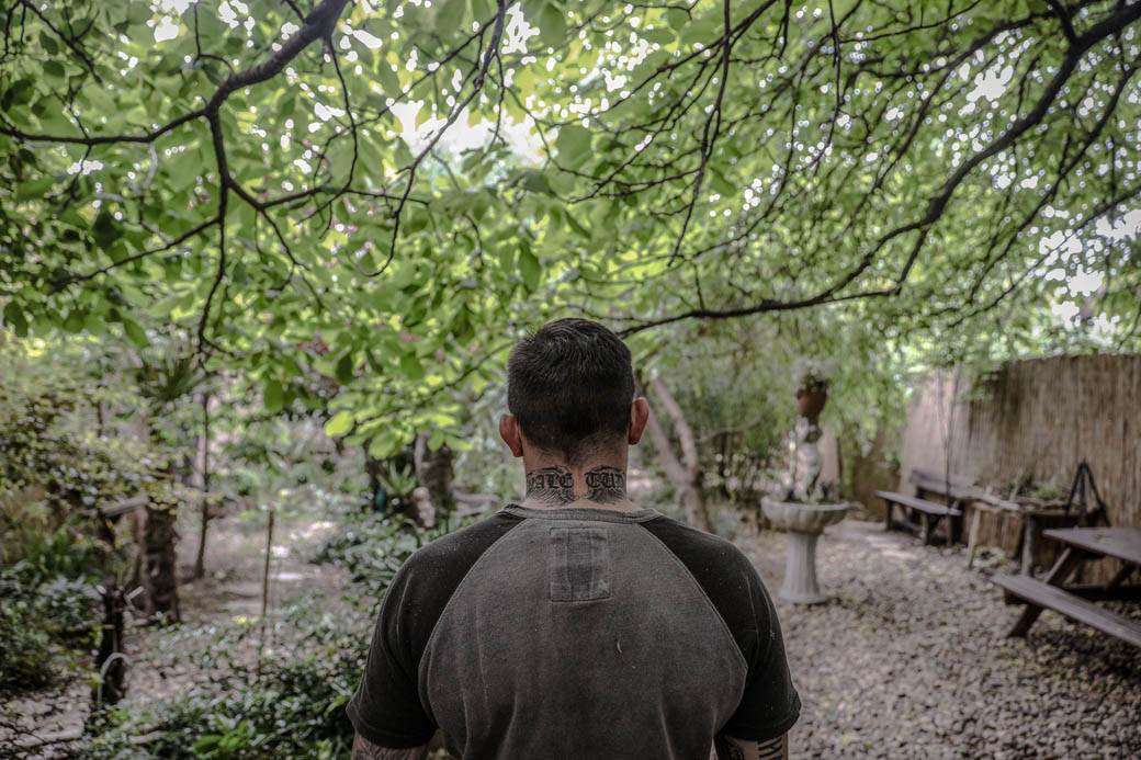 Dušan Džakić vrt koji podseća na džunglu usred Zemuna FOTOGRAFIJE