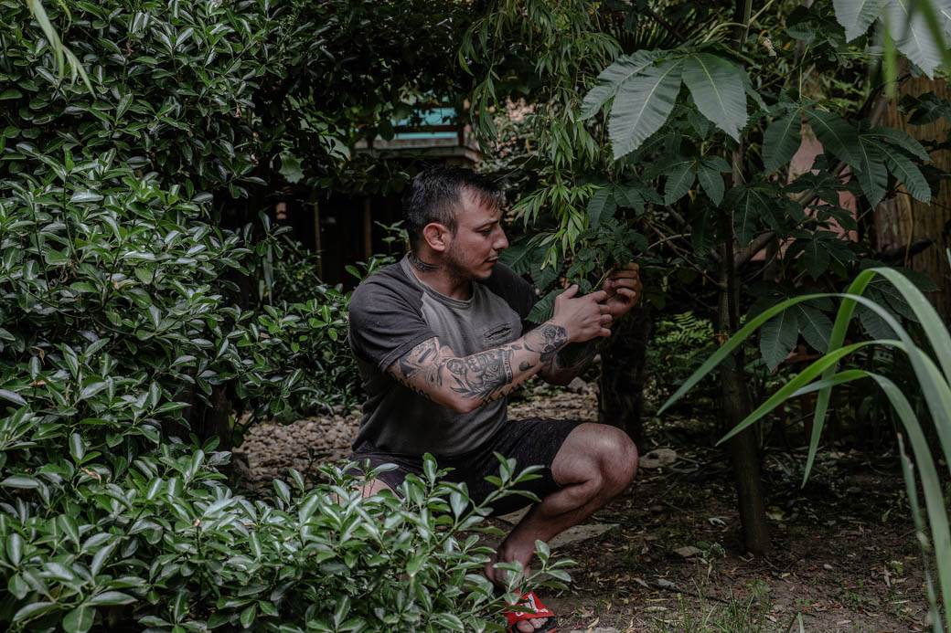 Dušan Džakić vrt koji podseća na džunglu usred Zemuna FOTOGRAFIJE